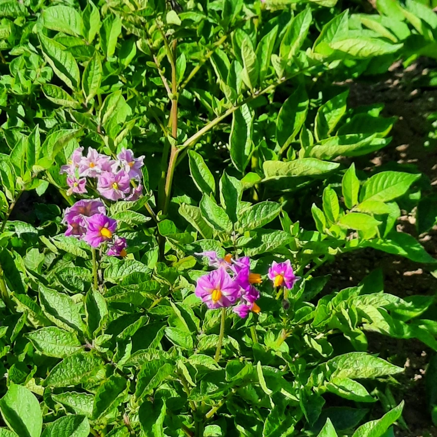 20240605%EF%BC%BF080614.jpg?type=w1