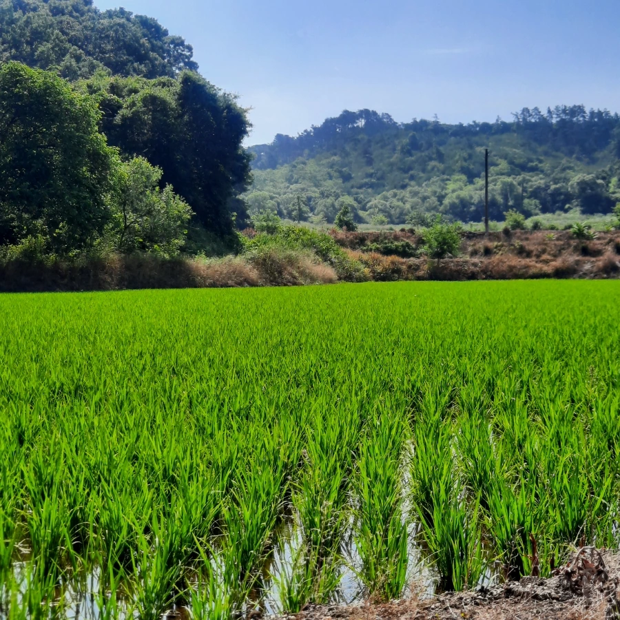 20240612%EF%BC%BF091022.jpg?type=w1