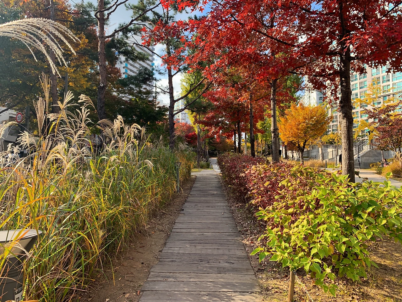 브런치 글쓰기 개인사업자 프리랜서.JPG