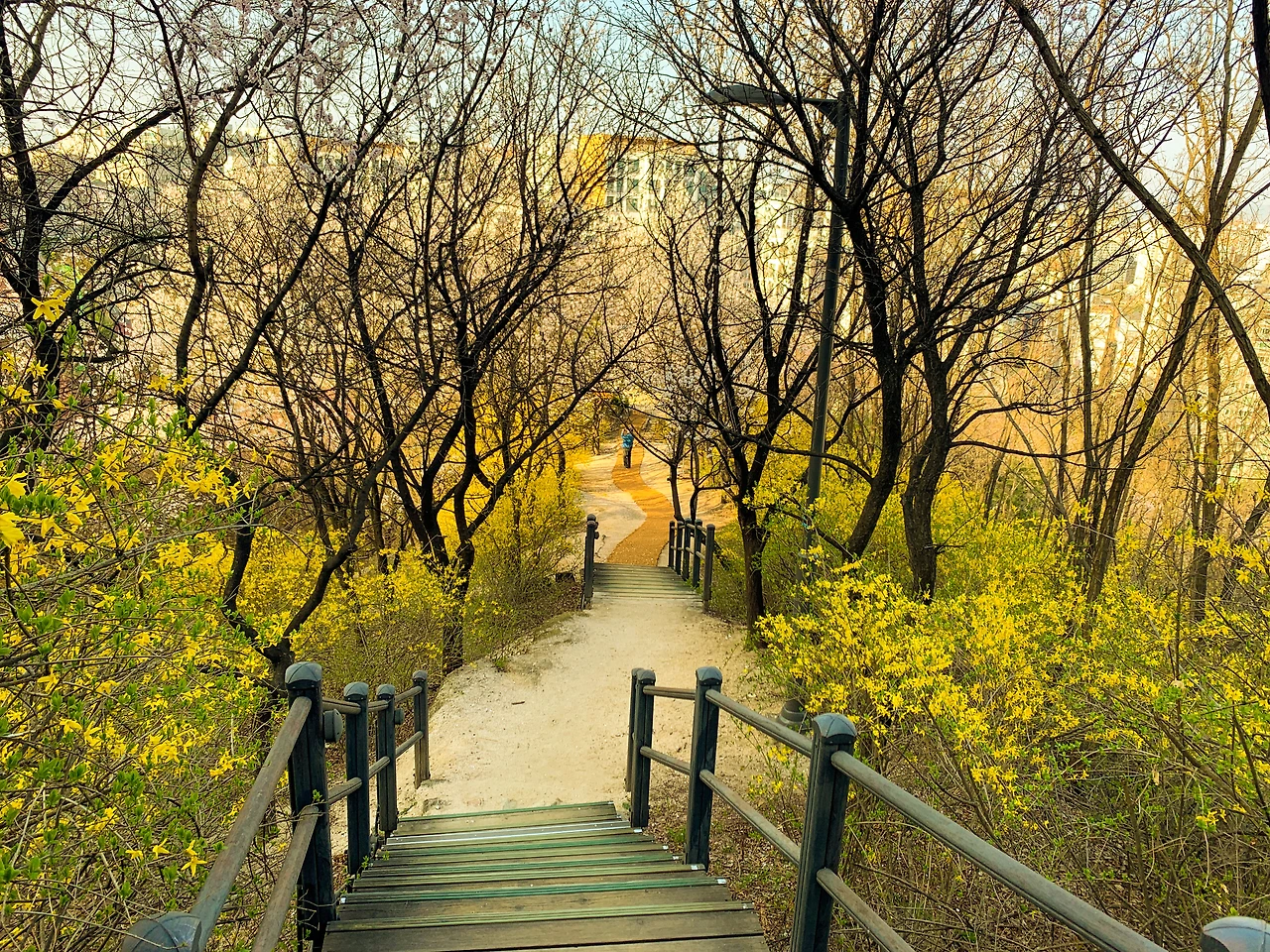 카카오 브런치 글 전직장동료 연락 자니 2.JPG