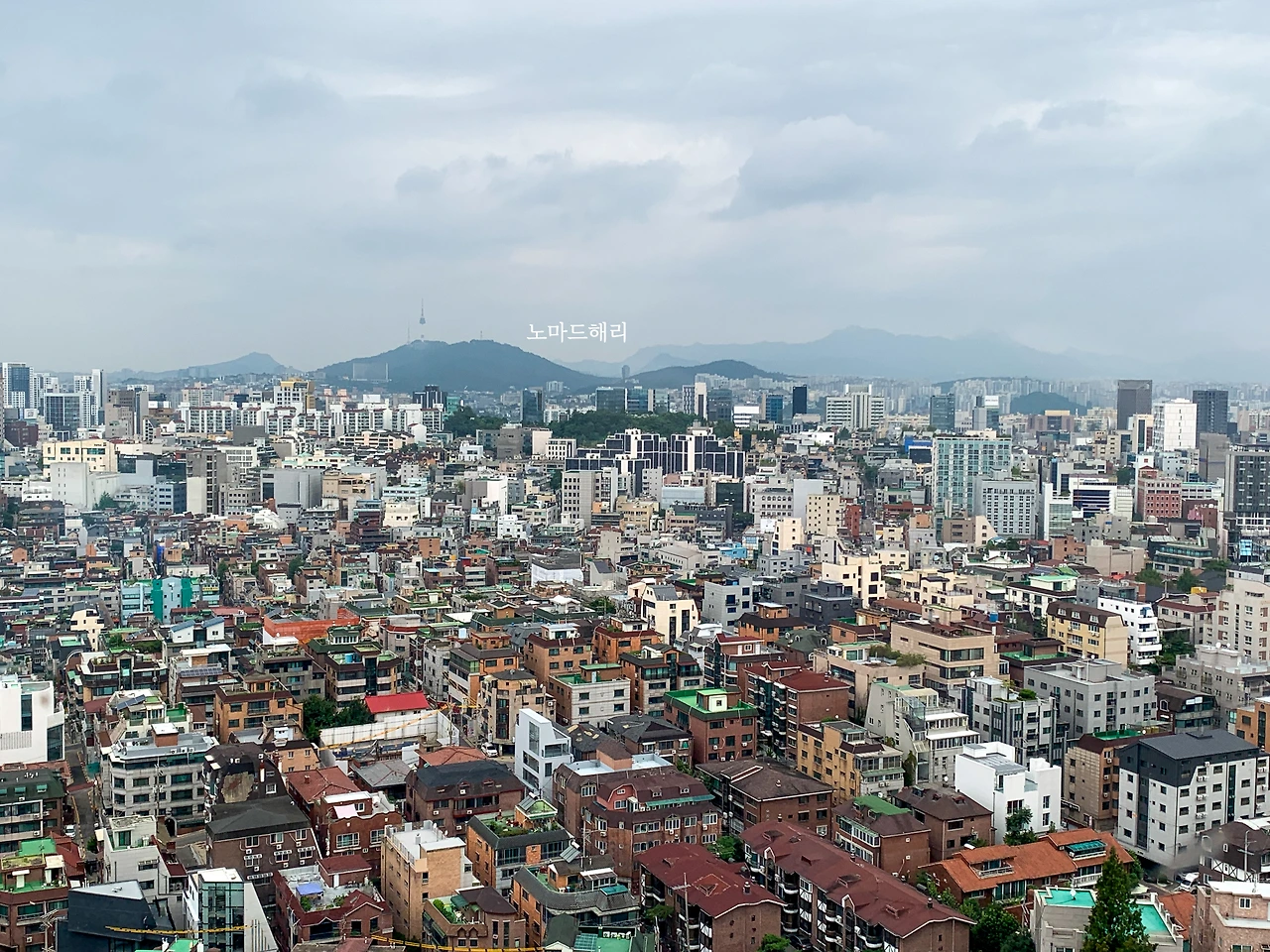 지식에 의존하는 사회.JPG