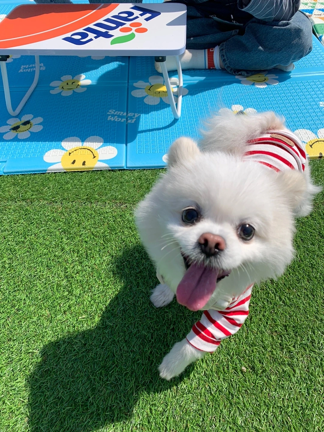 KakaoTalk_Photo_2023-07-21-18-16-29 002.jpeg