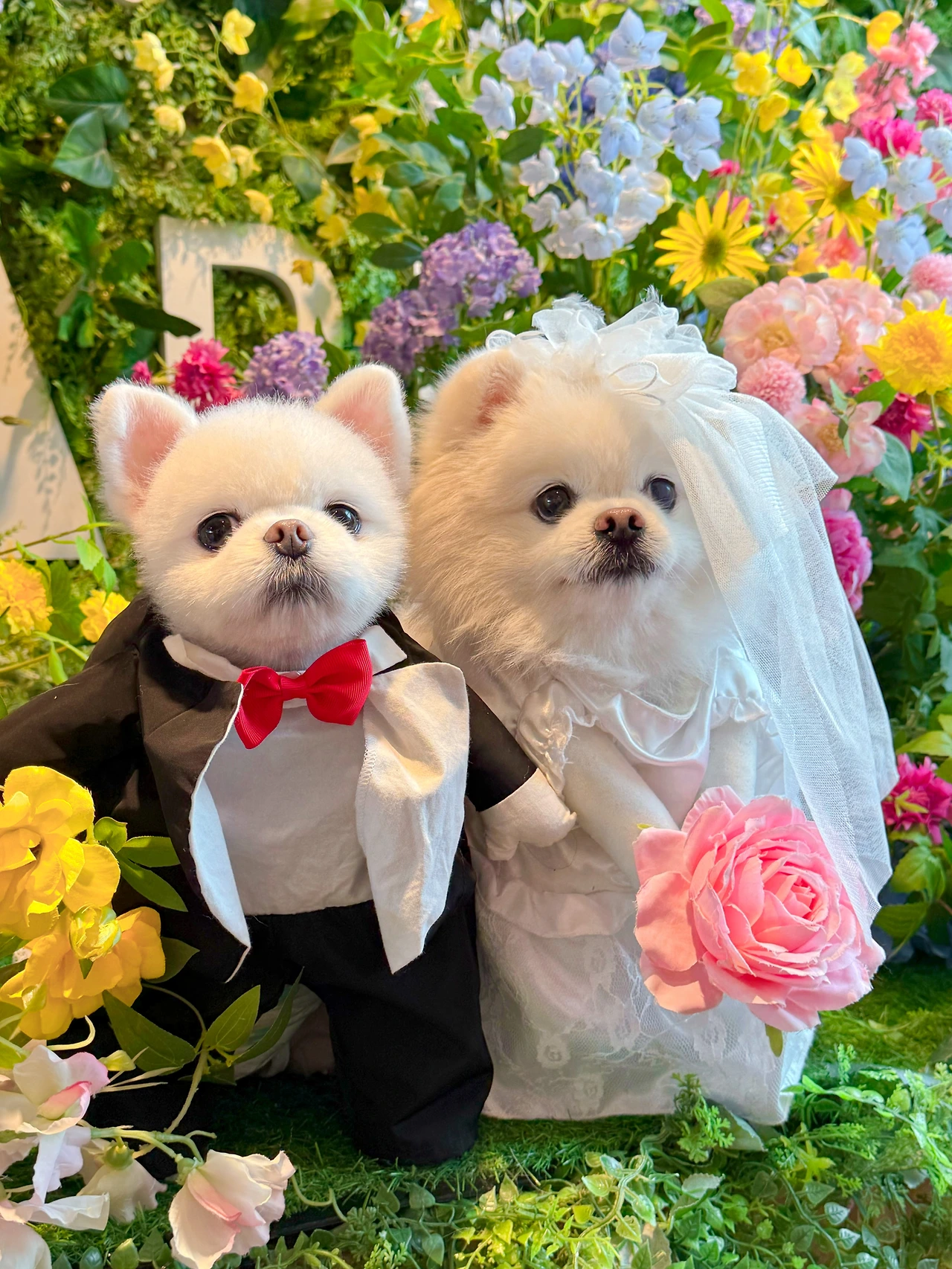 KakaoTalk_Photo_2025-07-03-13-52-07 028.jpeg