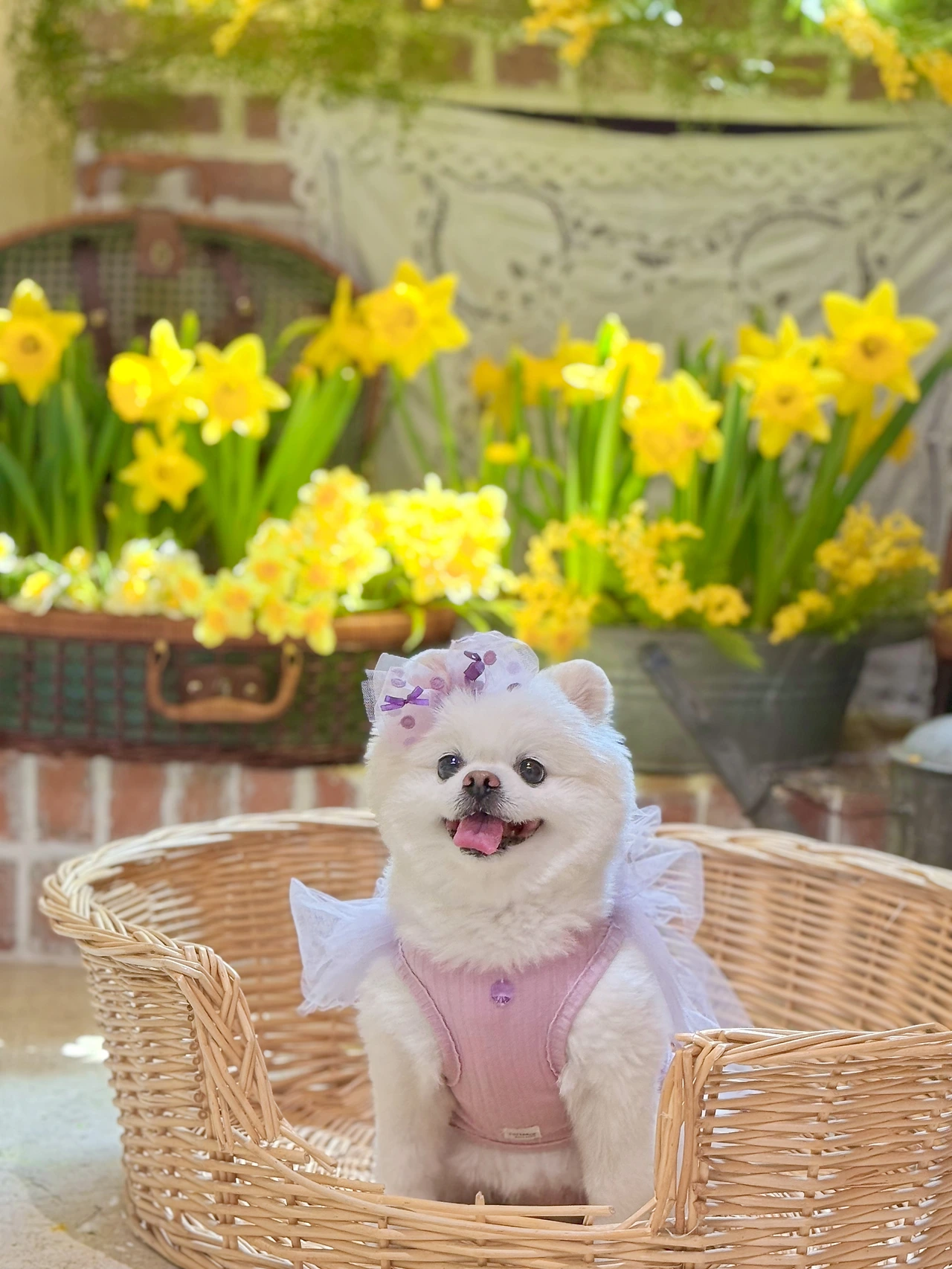 KakaoTalk_Photo_2025-07-03-13-52-06 027.jpeg