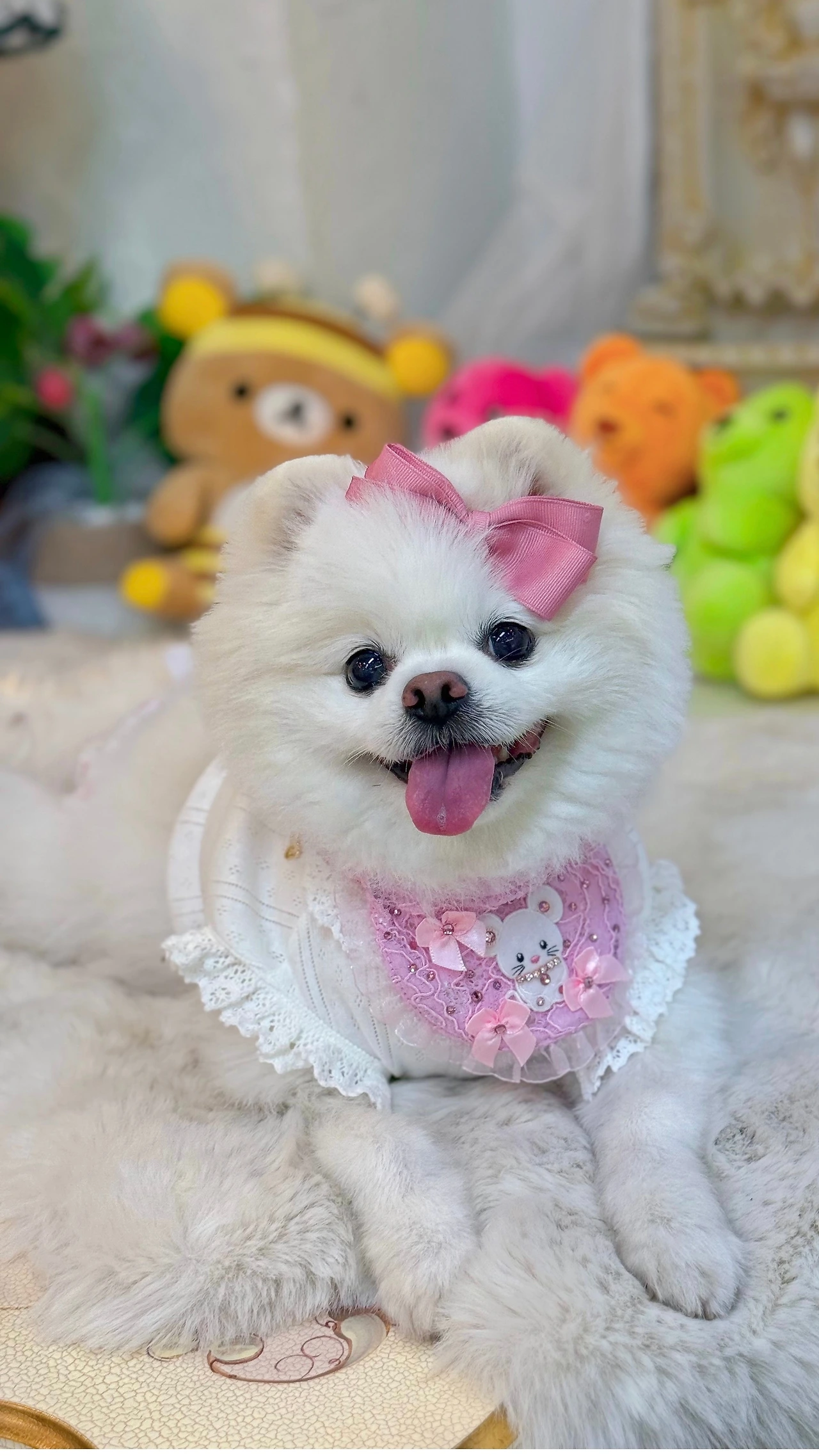 KakaoTalk_Photo_2025-07-03-13-52-04 015.jpeg