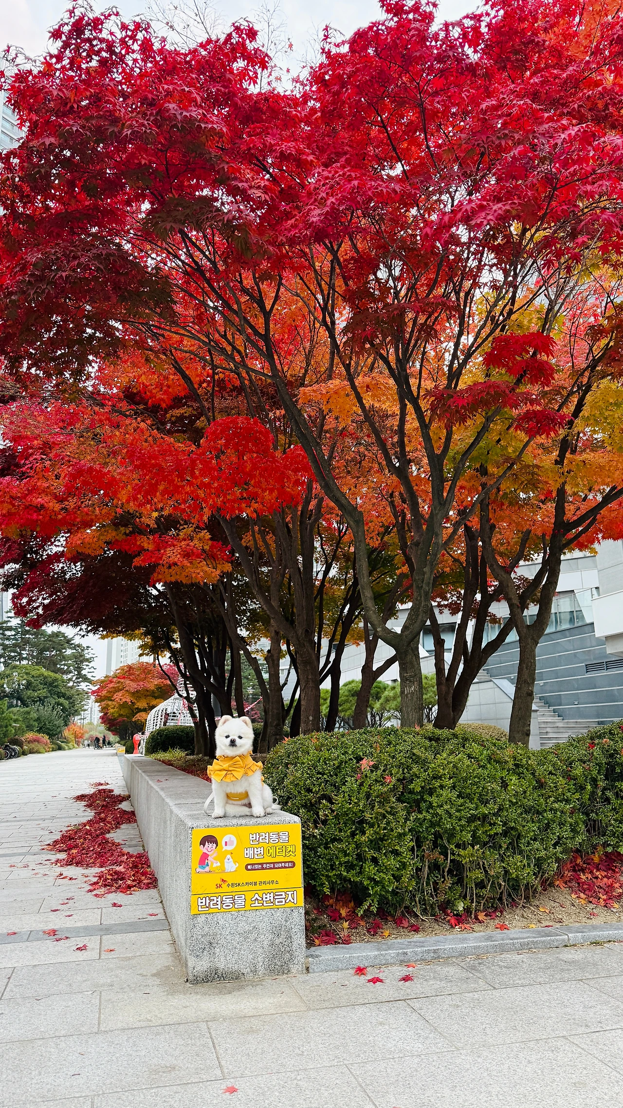 KakaoTalk_Photo_2025-11-14-19-46-15 001.jpeg