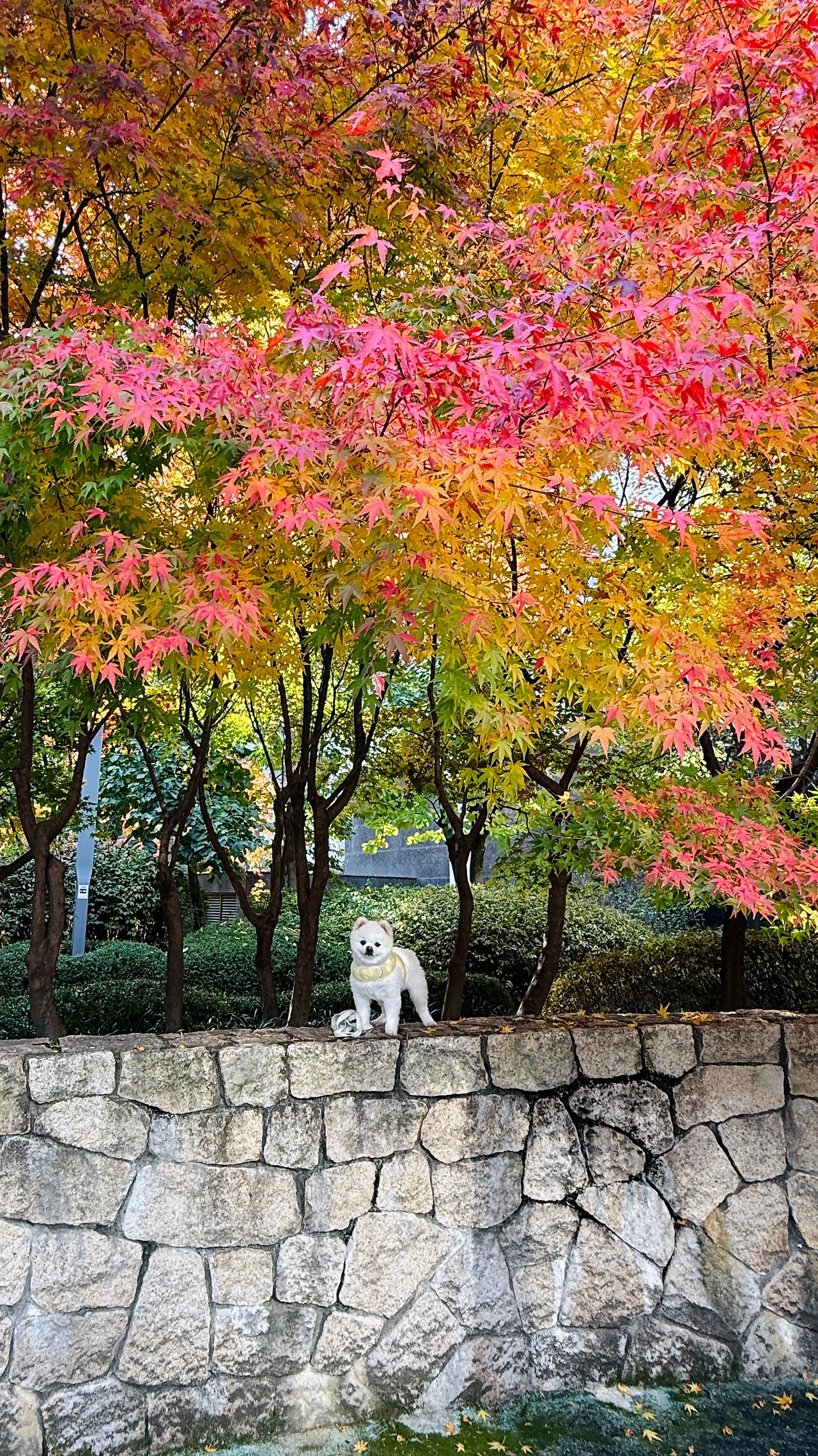 KakaoTalk_Photo_2025-11-14-19-46-18 002.jpeg