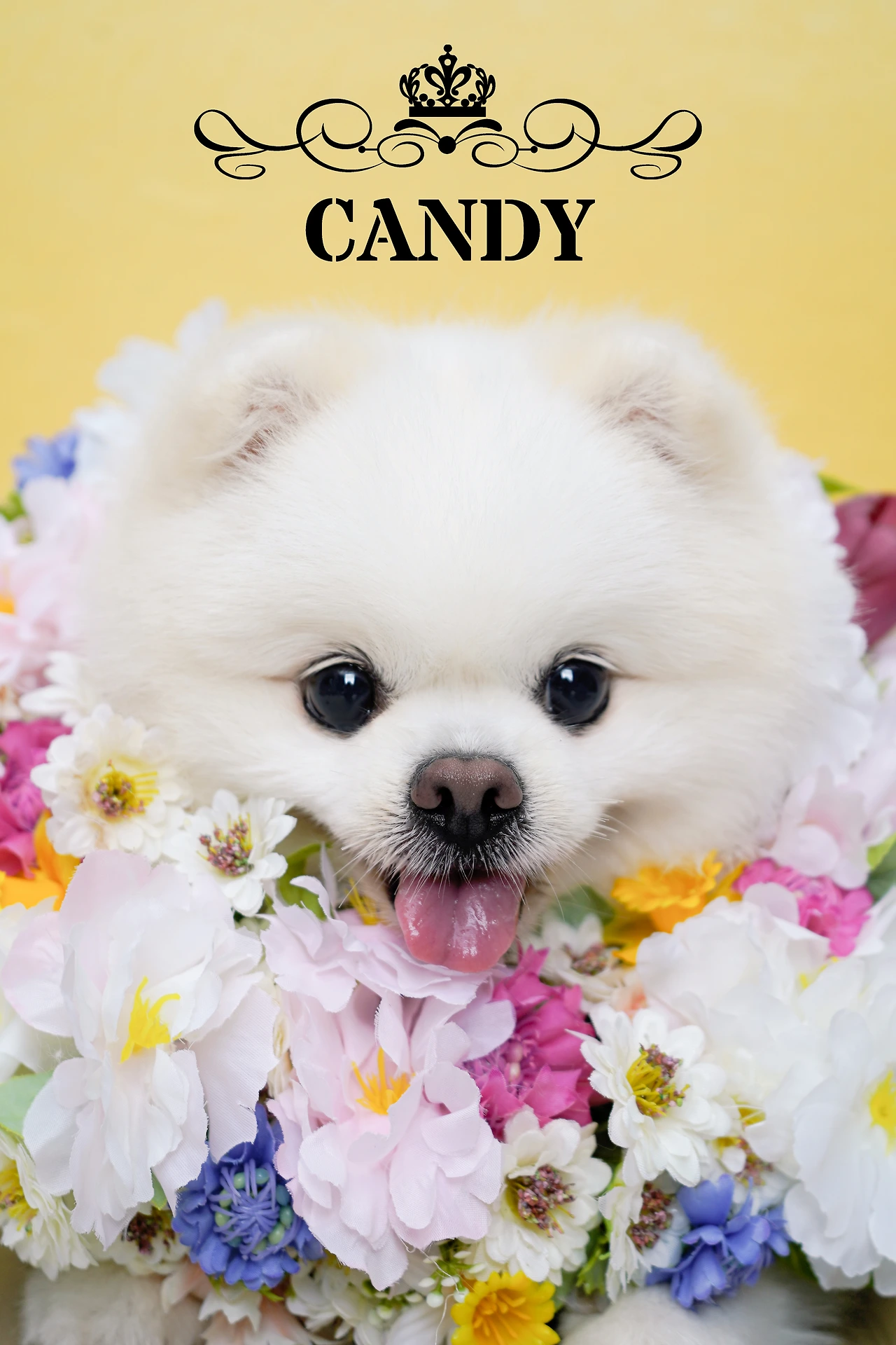 KakaoTalk_Photo_2024-08-19-10-42-50 004.jpeg