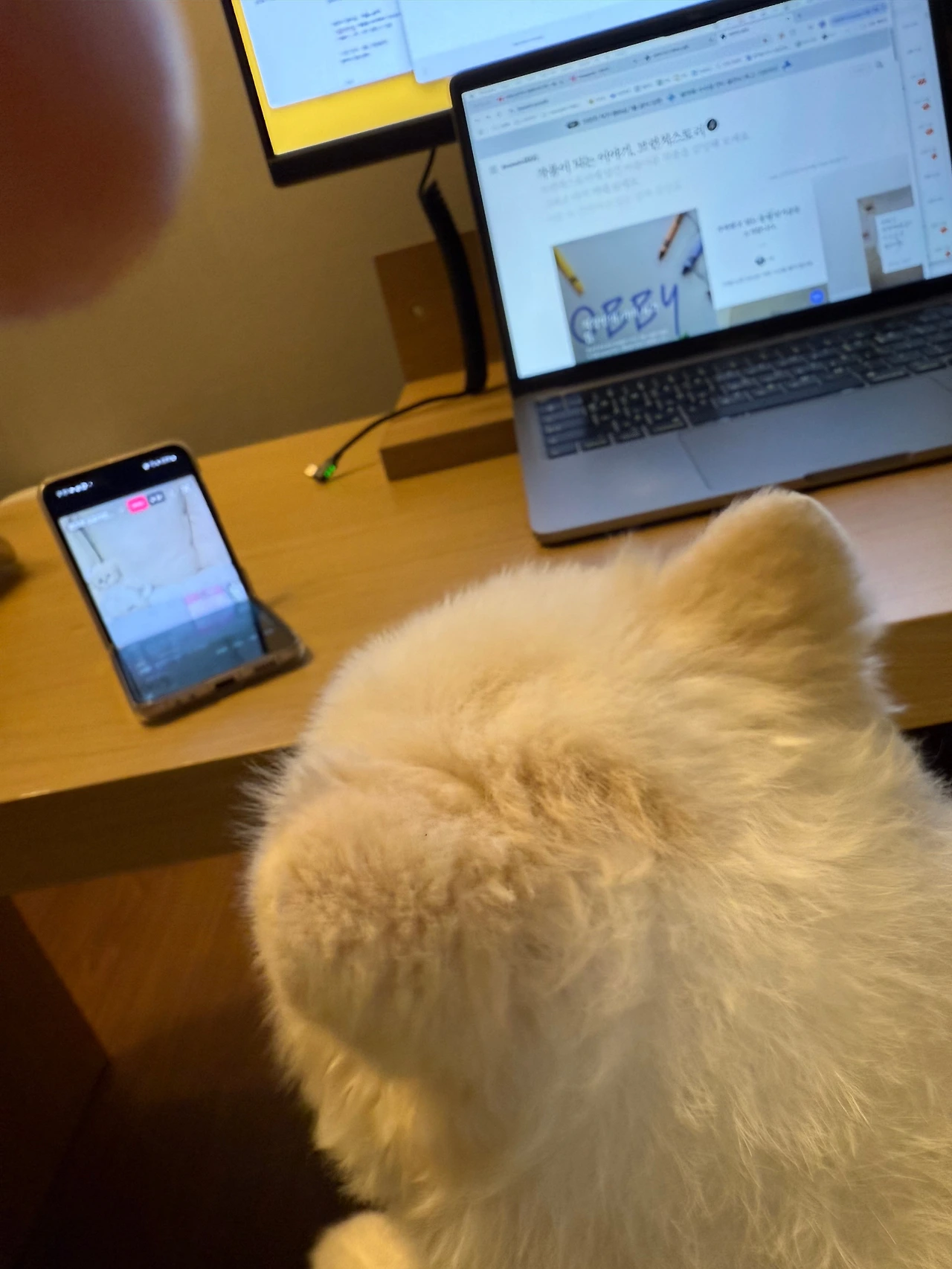 KakaoTalk_Photo_2025-07-03-13-52-02 001.jpeg