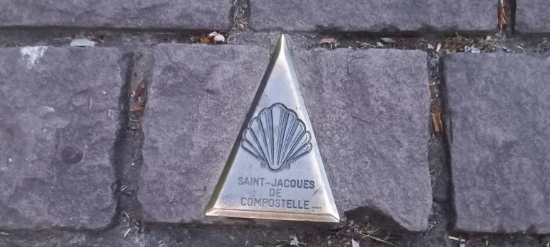 SE-2b6b0075-c3e6-4e95-9d92-4d62aba75844.jpg?type=w773