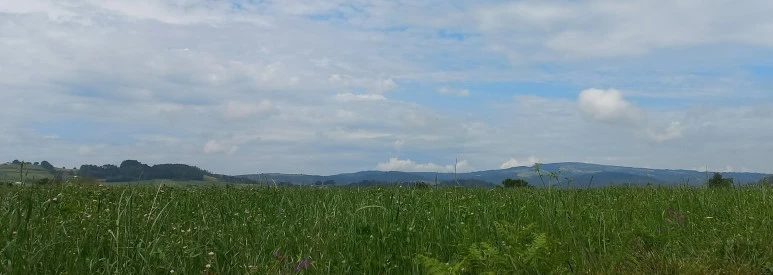 SE-46209987-a647-4307-87e3-831b5aff8ade.jpg?type=w773