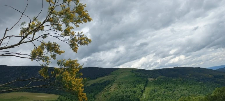 SE-2f2322c1-4a82-4474-88cf-0ac4808a1b75.jpg?type=w773