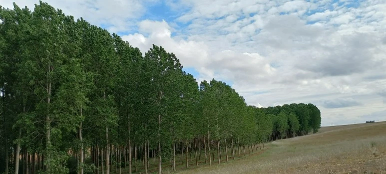 SE-f839696d-0e46-4e04-a971-ae7501f06d53.jpg?type=w773