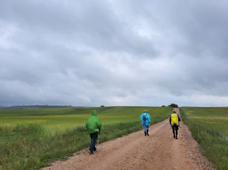 SE-9d137fb4-18a1-4736-8b85-710b34a8b627.jpg?type=w773