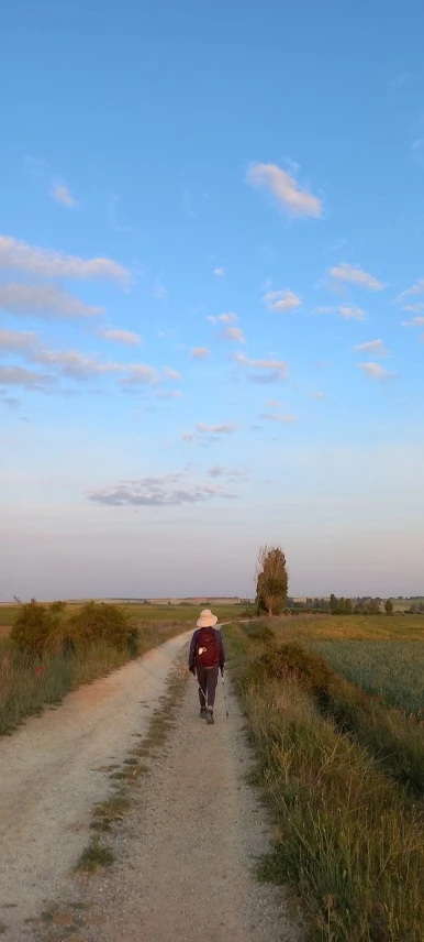 20230522_071329.jpg?type=w386