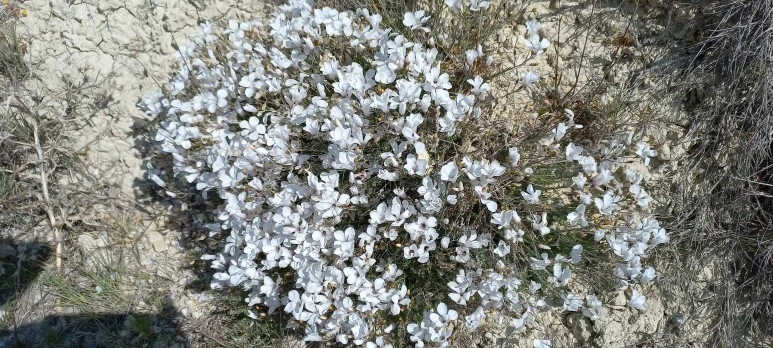 20230519_110141.jpg?type=w773