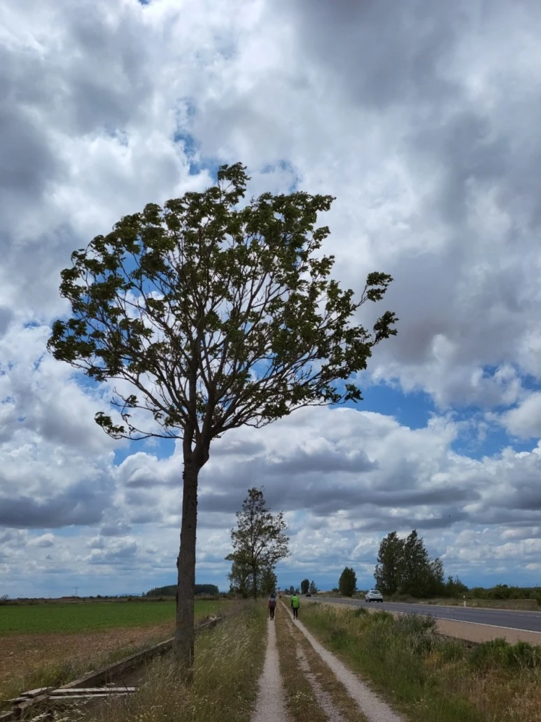 SE-45df4e2c-6b26-41a9-bbaa-ad4b15231bb9.jpg?type=w773