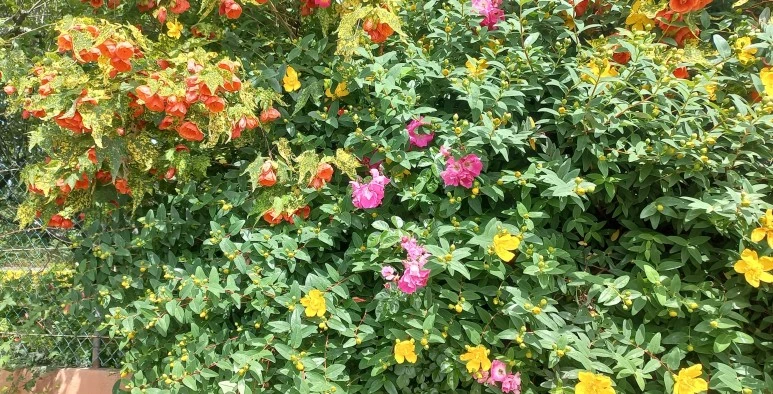 SE-d4e78e58-9c5f-42d7-be87-0c8677911aa7.jpg?type=w773