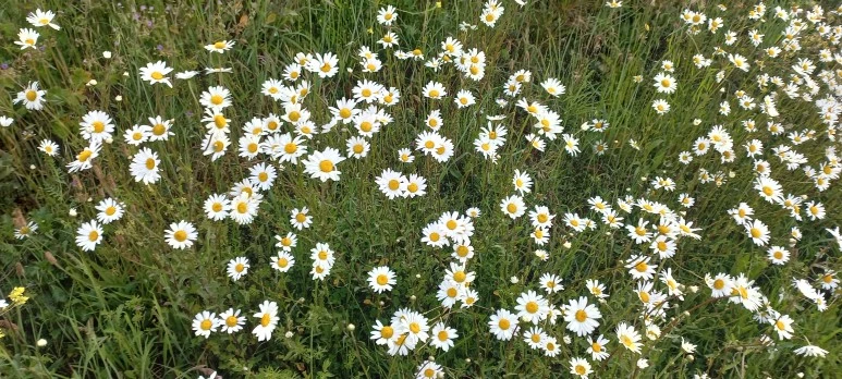 20230602_083603.jpg?type=w773