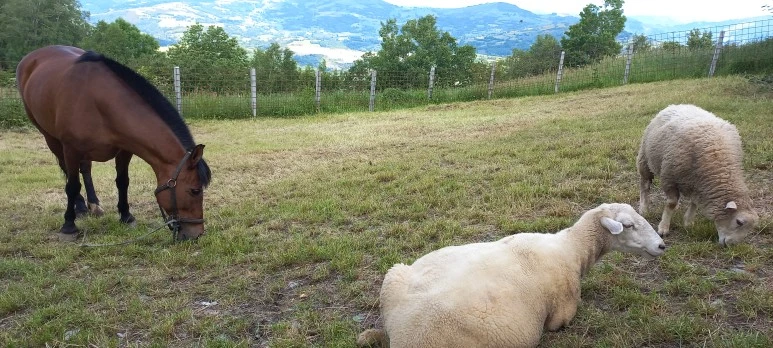 20230602_115956.jpg?type=w773