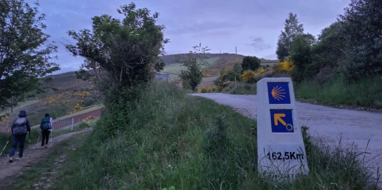 SE-cd2f3534-1af3-4166-bb20-f36e50e7452b.jpg?type=w773