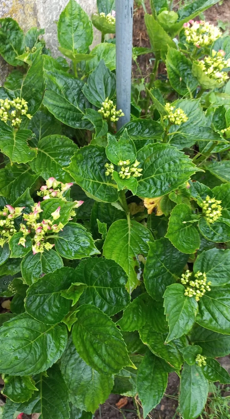 SE-2263476d-c6a0-43f9-af9e-697f8acf76e4.jpg?type=w773