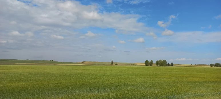 20230520_103439.jpg?type=w773