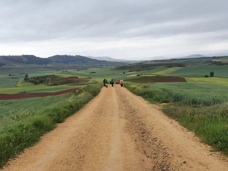 1684086310636.jpg?type=w773