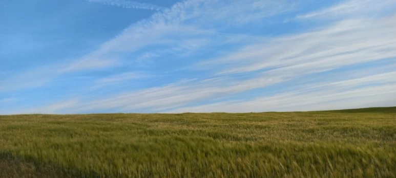 20230517_075520.jpg?type=w773