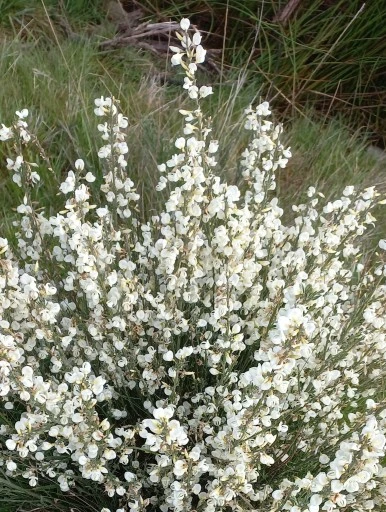 SE-87cbbd2a-5eb8-4e52-a2bf-2d35a36592c4.jpg?type=w386