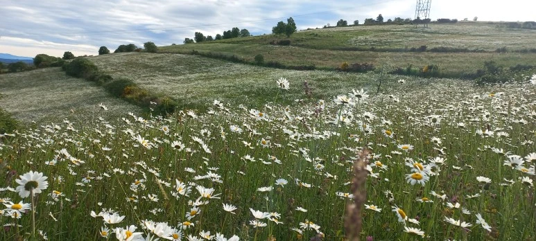 20230602_084350.jpg?type=w773