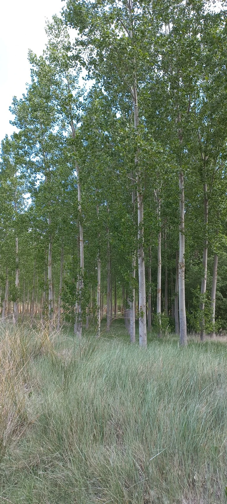 20230519_125820.jpg?type=w773