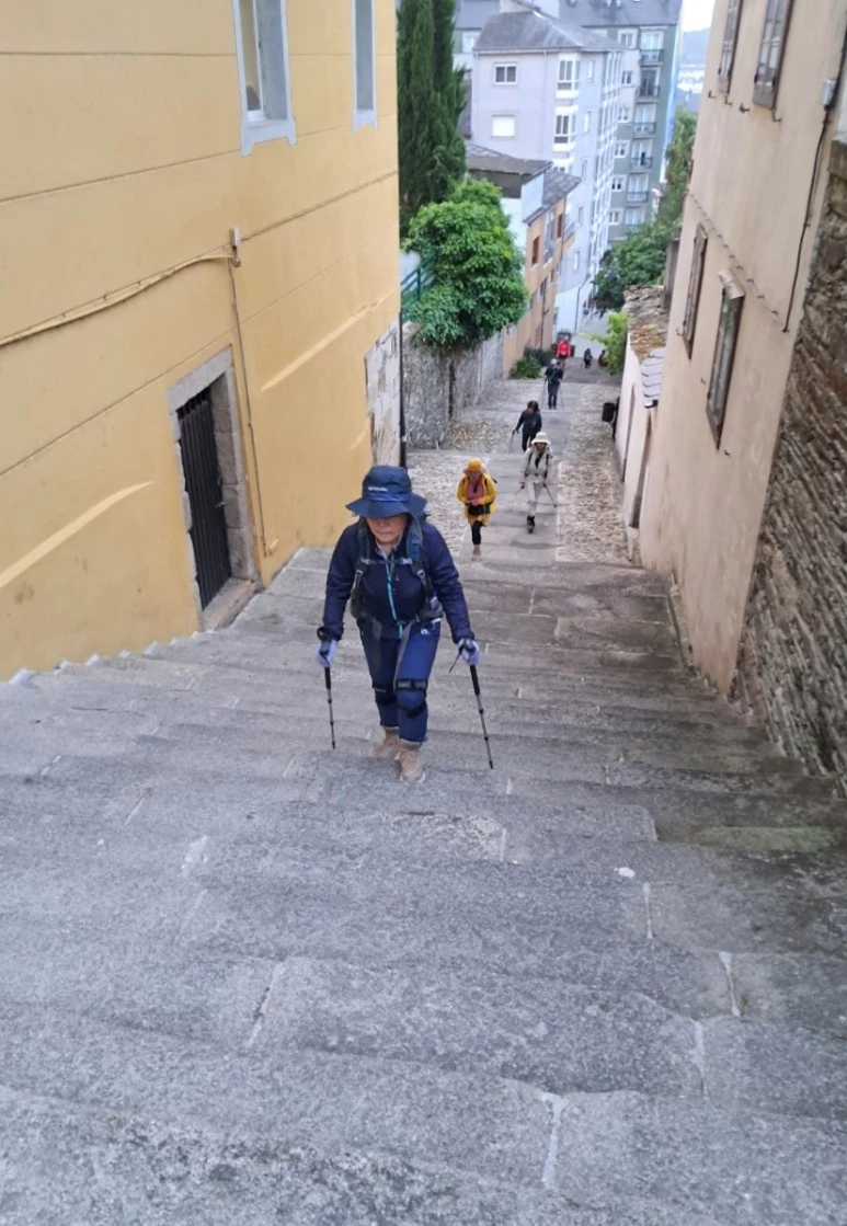 SE-851e6366-5750-4629-9014-3b69fe66af21.jpg?type=w773