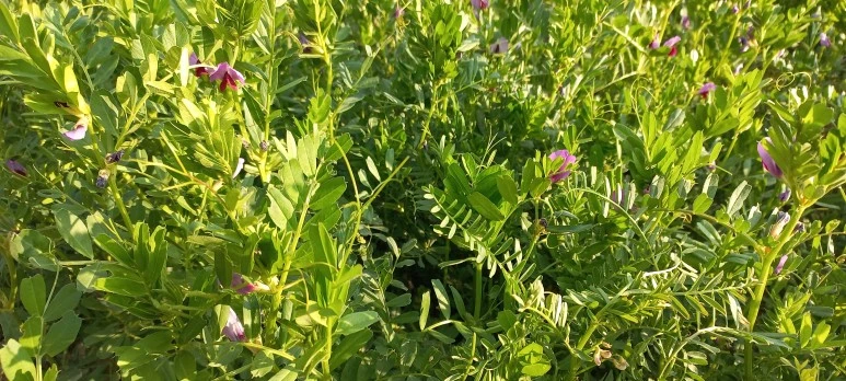 20230519_082547.jpg?type=w773