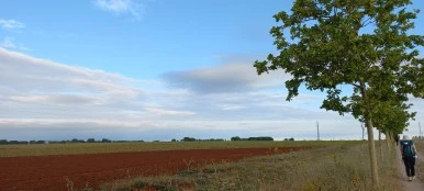 20230523_081114.jpg?type=w386