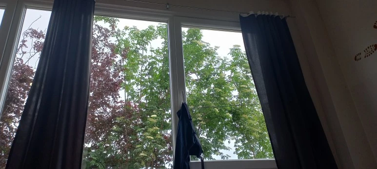 20230603_165710.jpg?type=w773