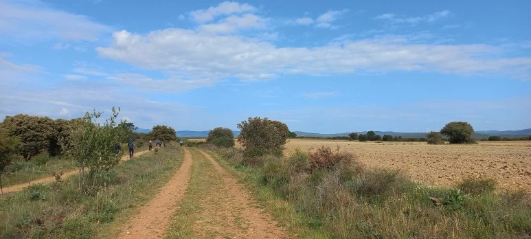 20230528_100346.jpg?type=w773