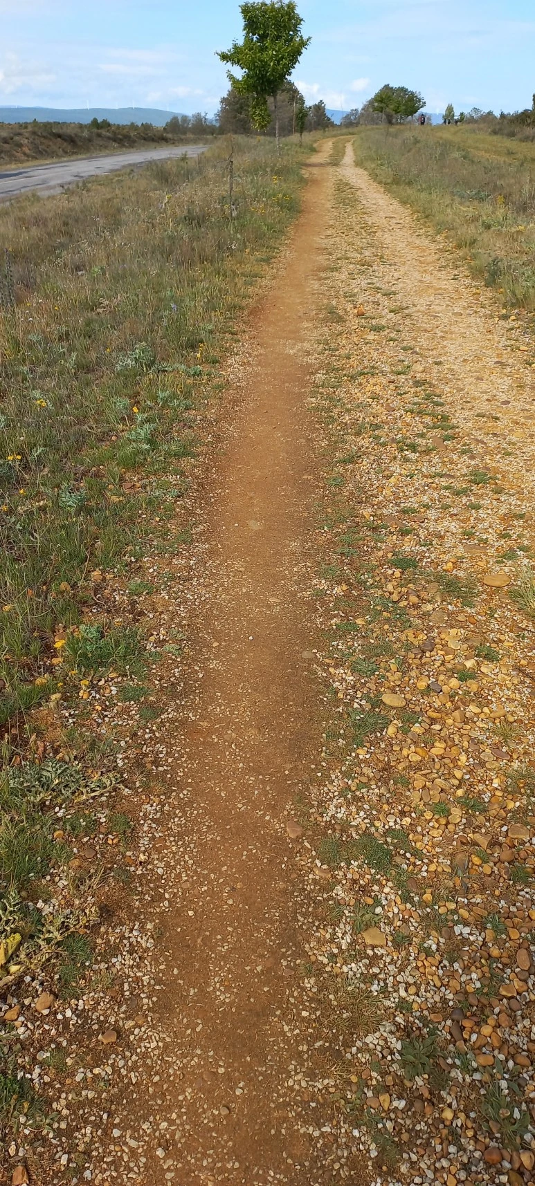 20230528_104826.jpg?type=w773