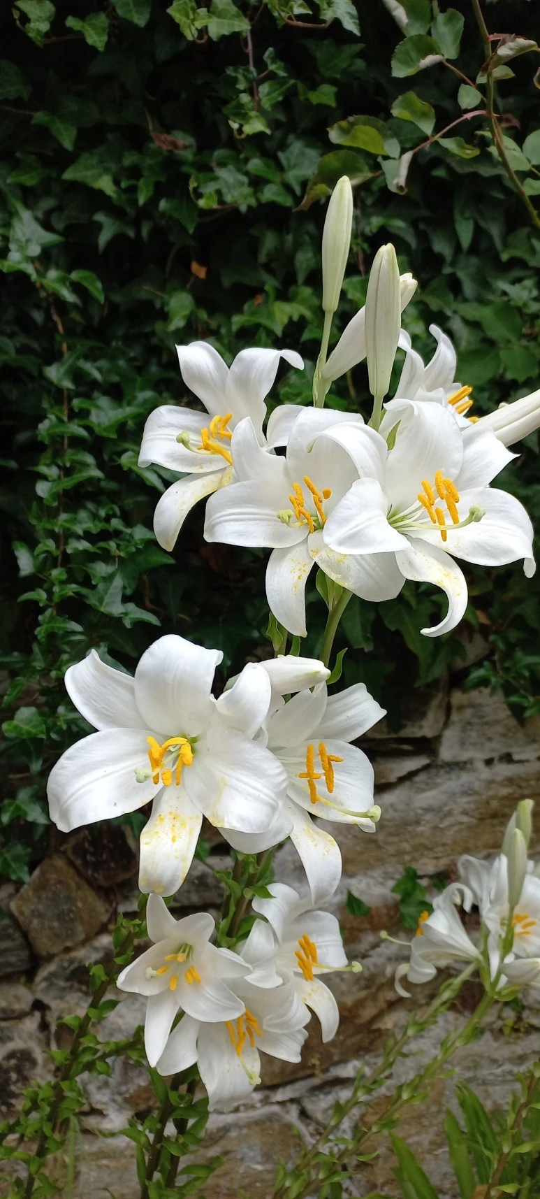 20230531_103001.jpg?type=w773