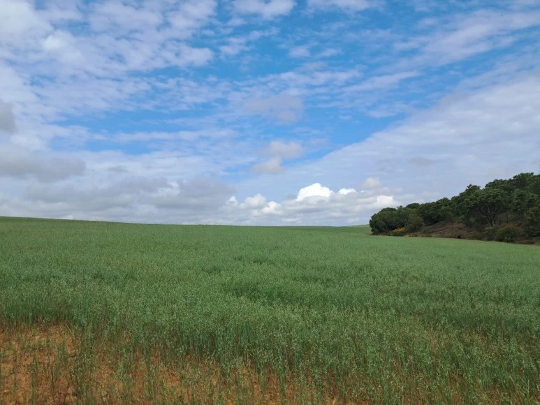 1685193581063.jpg?type=w773