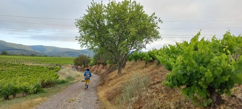 20230531_074537.jpg?type=w773