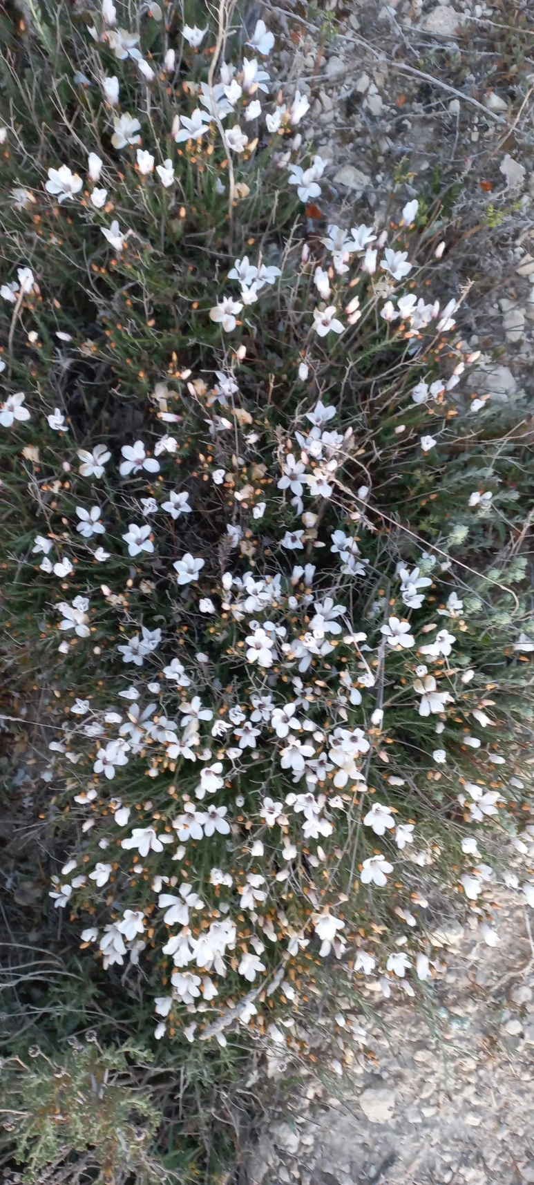 20230519_071003.jpg?type=w773