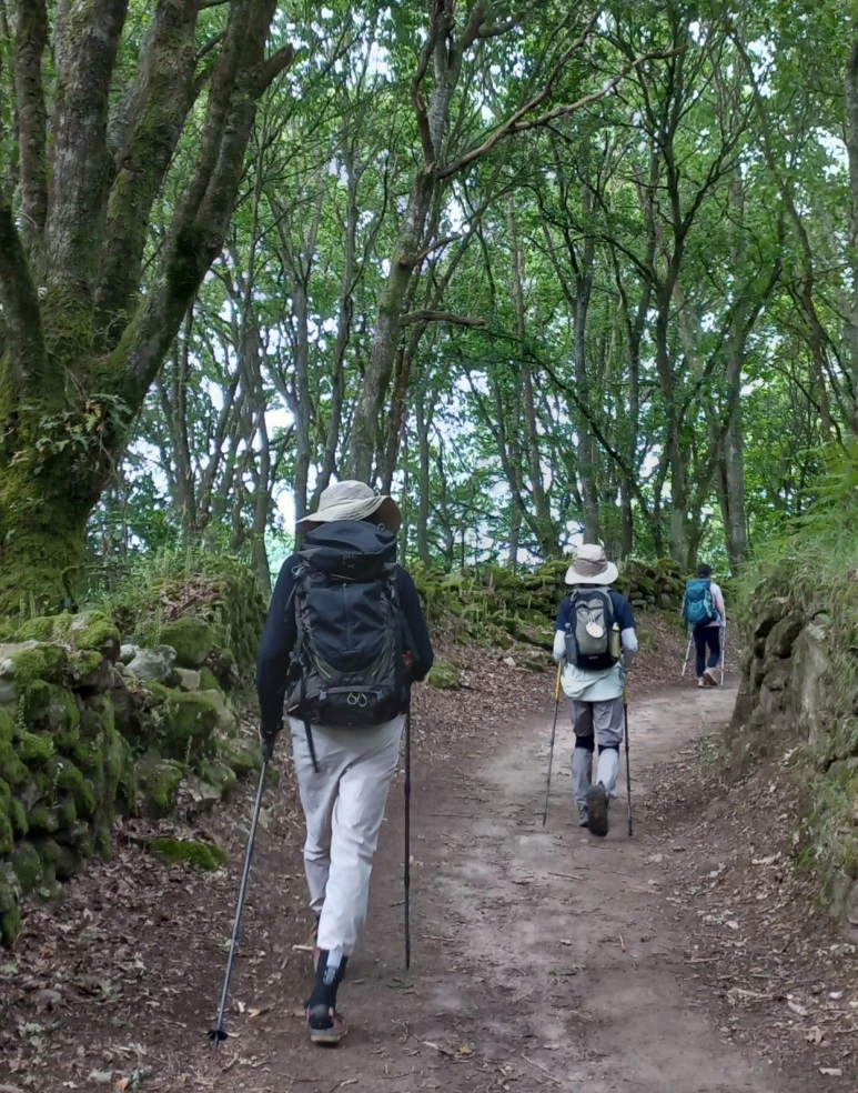 SE-d60fd7e6-5c45-4be6-be35-c4629f4c84bf.jpg?type=w773