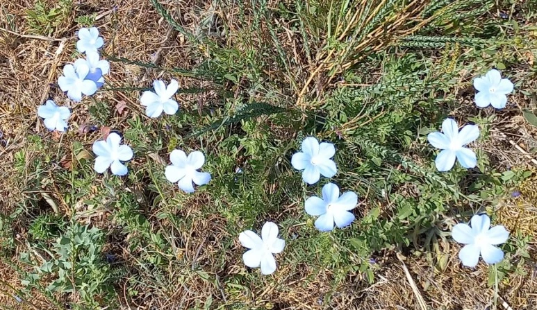 SE-cdddd2b7-8737-407a-8430-a0f90a6f33dc.jpg?type=w773