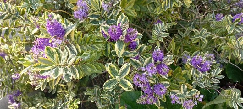 20230606_112324.jpg?type=w773