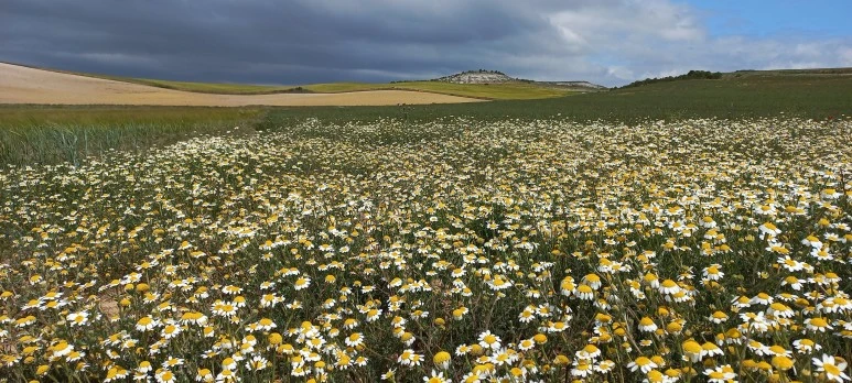 20230519_120517.jpg?type=w773