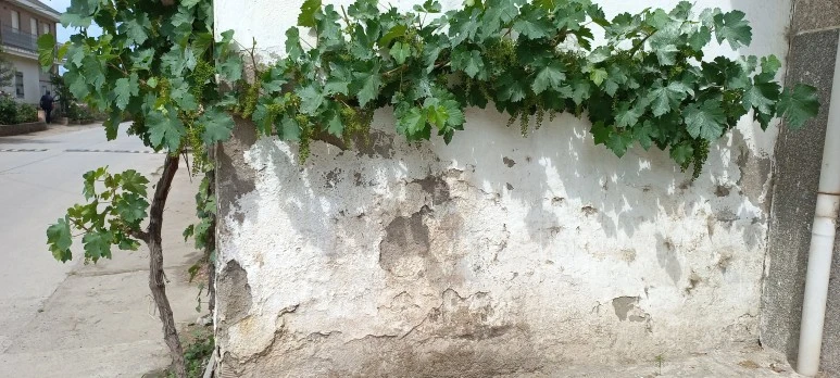 20230530_121119.jpg?type=w773