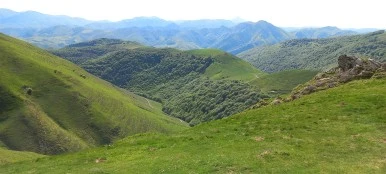 20230506_104218.jpg?type=w386