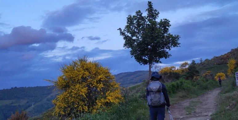 SE-ef391995-bcaa-4a46-b295-94d6f274a7b8.jpg?type=w773