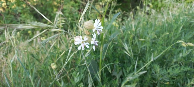 20230519_081654.jpg?type=w773